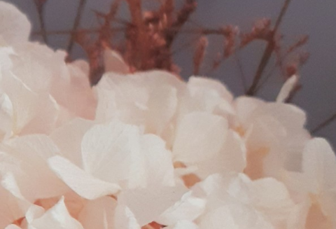 Fleur [Nongzel] thumbnail