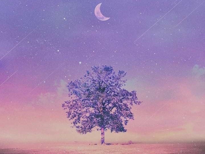 Taller Starlight thumbnail