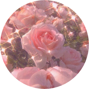 단하루 image