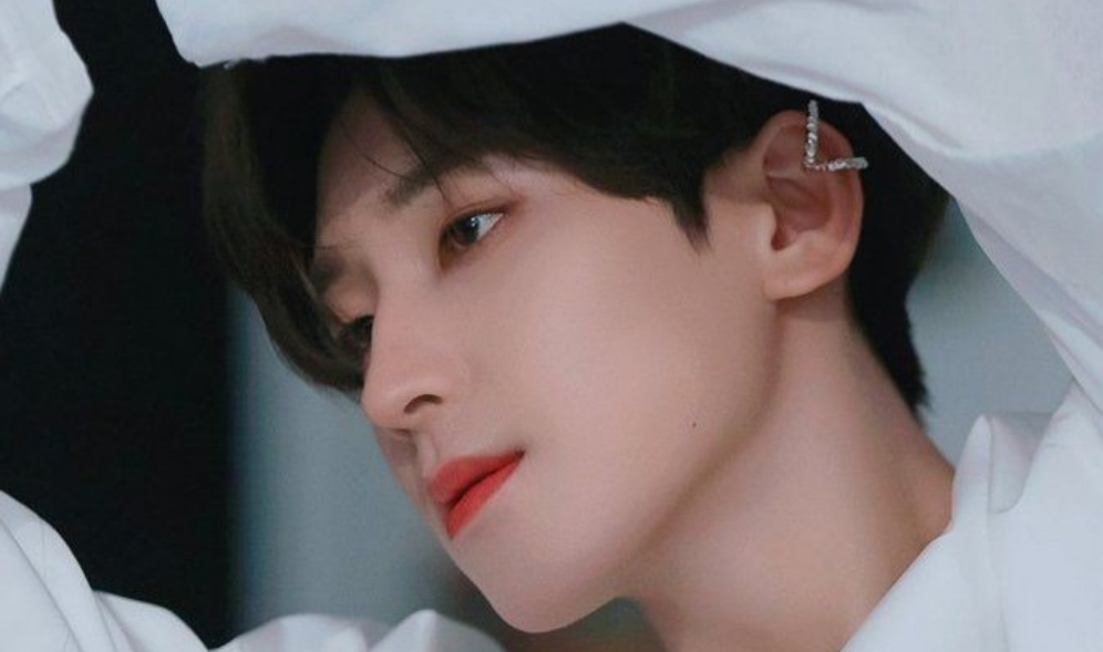 ¡Por favor, Wonwoo! thumbnail