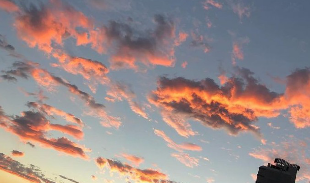 Prochaines étapes recommandées thumbnail