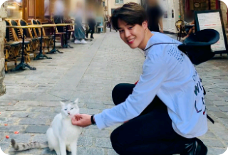 [White Butterfly] {White Butterfly} thumbnail