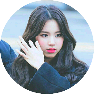 손채영 image