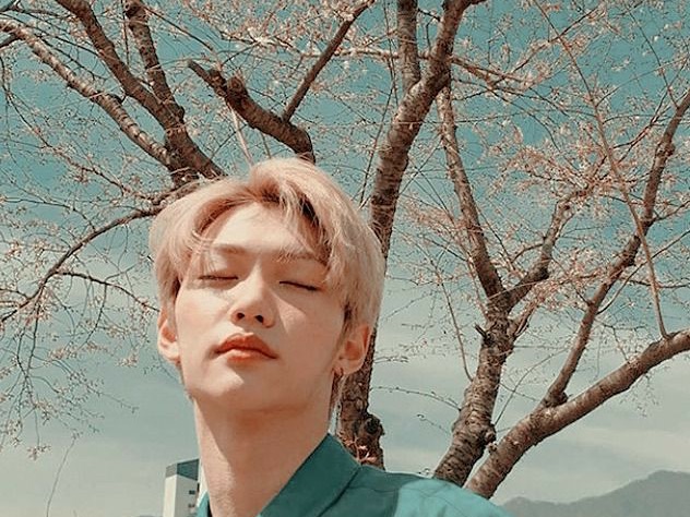 행복한 어린 시절 thumbnail