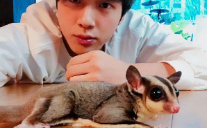 진과 방탄소년단에게 투표하세요 thumbnail