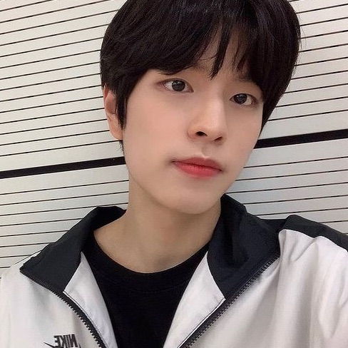 Seungmin  image