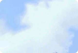 我的冬天似乎永无止境。 thumbnail