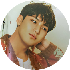 Mingyu image