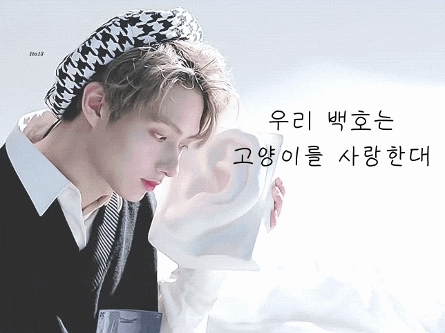 우리 백호는 고양이를 사랑한대 thumbnail