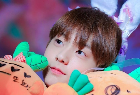 토끼 최수빈 길들이기 [TALK] thumbnail