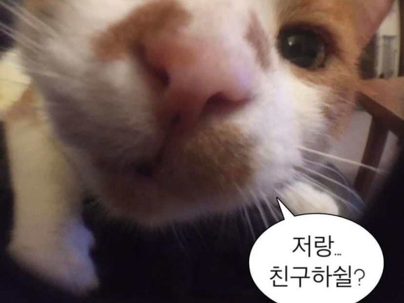 Fanfic thumbnail image