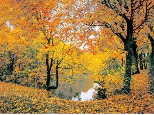 오렌지색 하늘 thumbnail