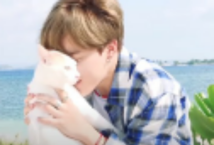 기억 잃기 일주일 전! thumbnail