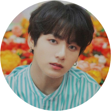 전정국 (17) image