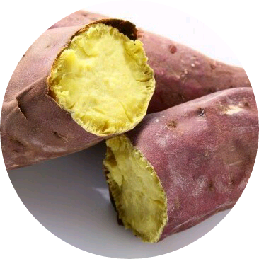 고구마들!! image