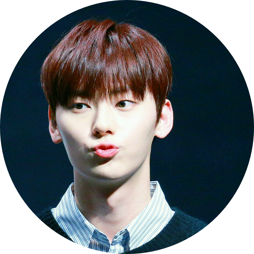 황민현 image
