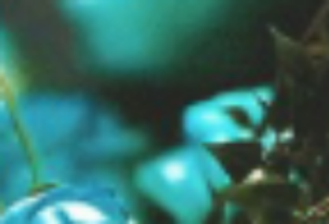 𝔤𝔬𝔡 𝔴𝔢𝔢𝔨 thumbnail