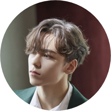 버논 image