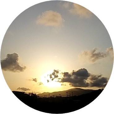 작가 image
