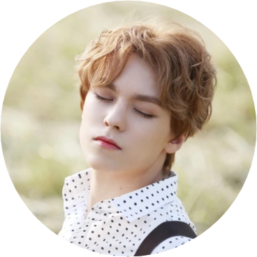 버논 image