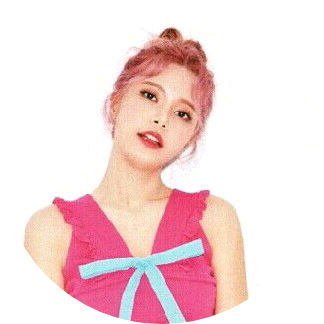 솔라 image