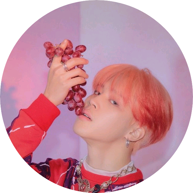 지민/빅힛왕국 왕자 image