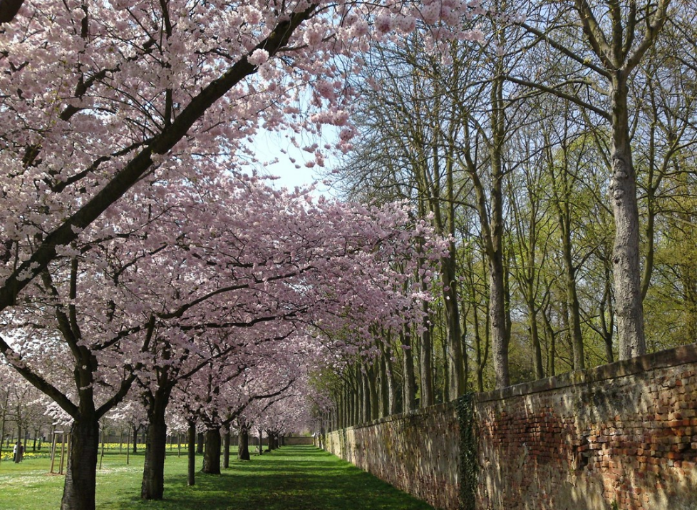 My name is Lee Hye-in. thumbnail