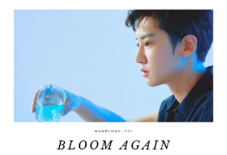 다시 꽃피우다 thumbnail