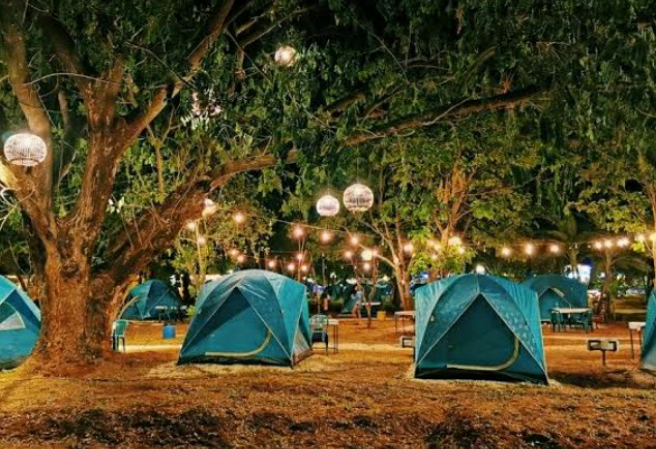 캠프 파이트 thumbnail