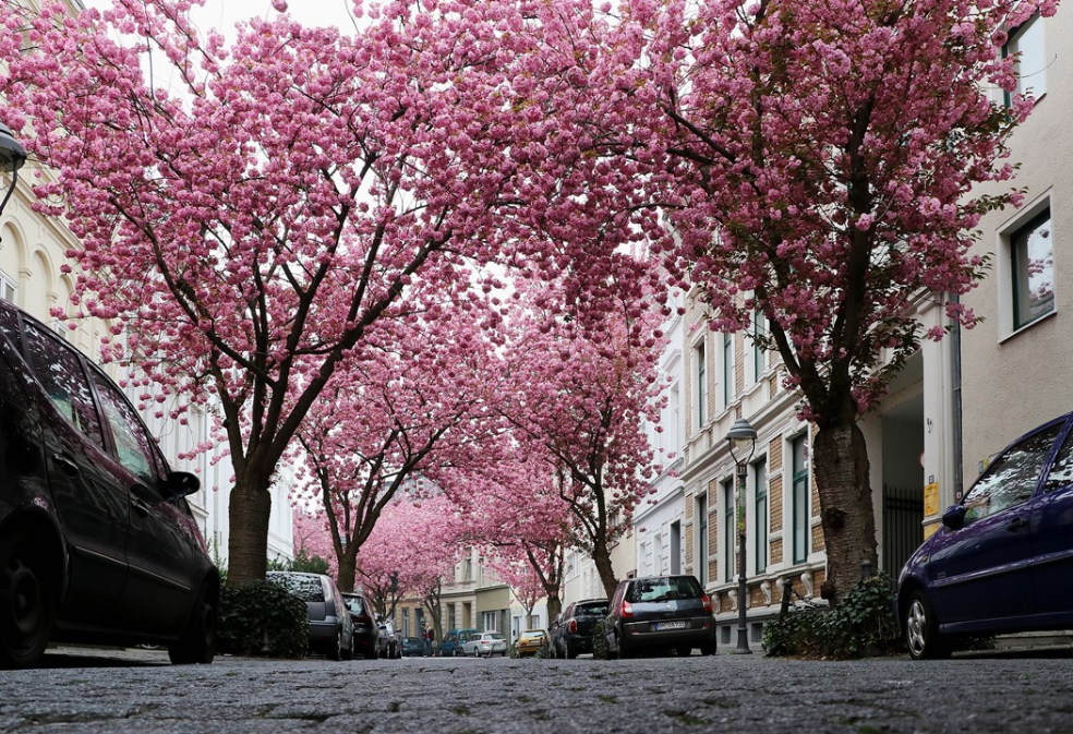 3x3으로 투표해주세요 thumbnail