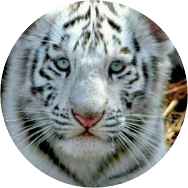 백호(김태형 image