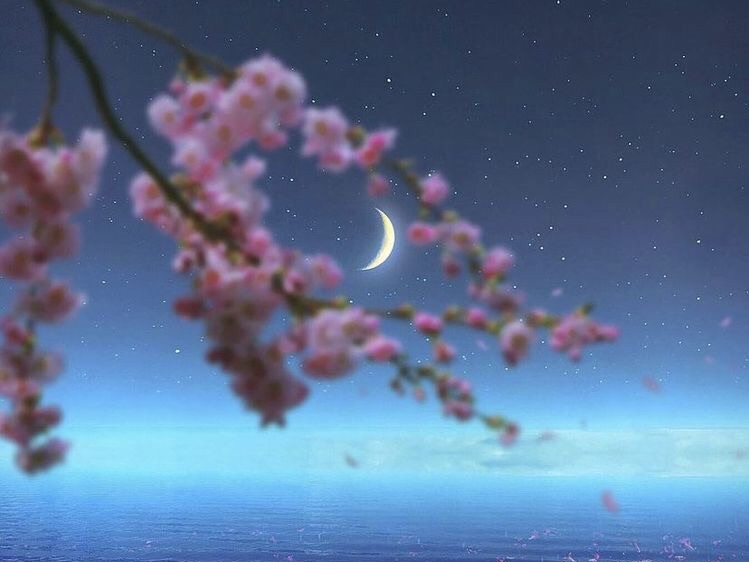 colección de cuentos thumbnail