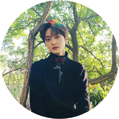 김태영 image