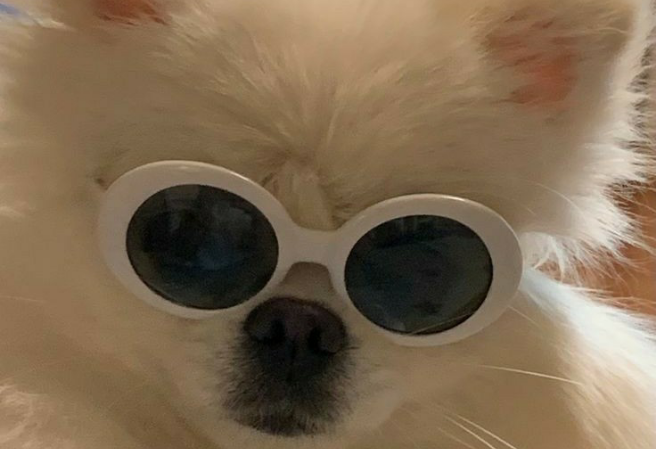 사다암바앙 thumbnail