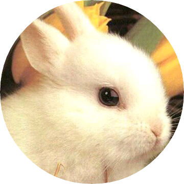 토끼로 변한 나연 image