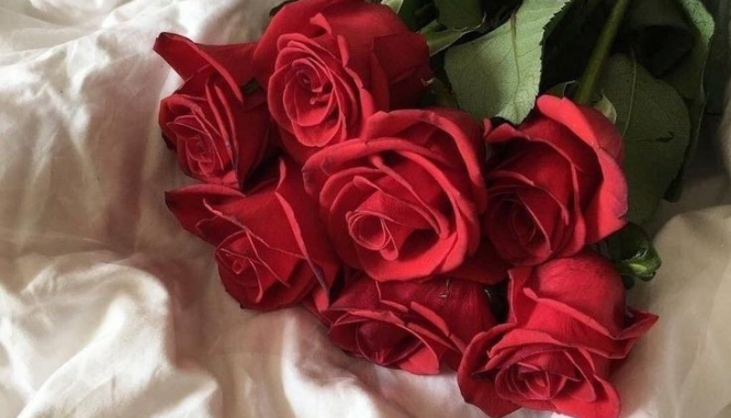 为什么玫瑰是红色的？ thumbnail