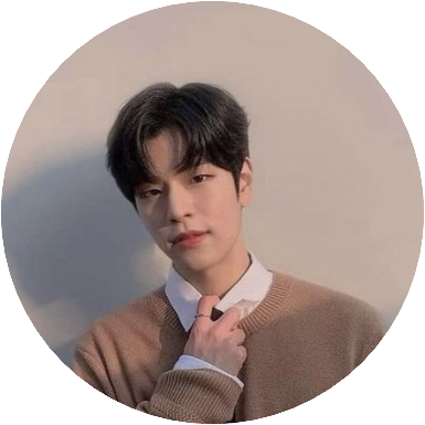Seungmin image