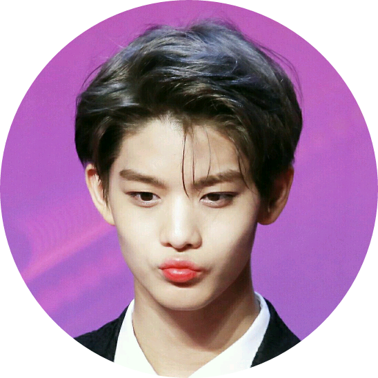 배진영 image