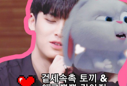 A soft rabbit on the outside and a cute puppy on the inside thumbnail