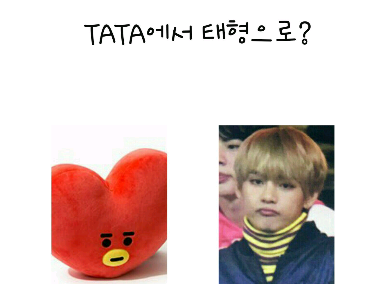 (Contest) From TATA to Taehyung?! thumbnail