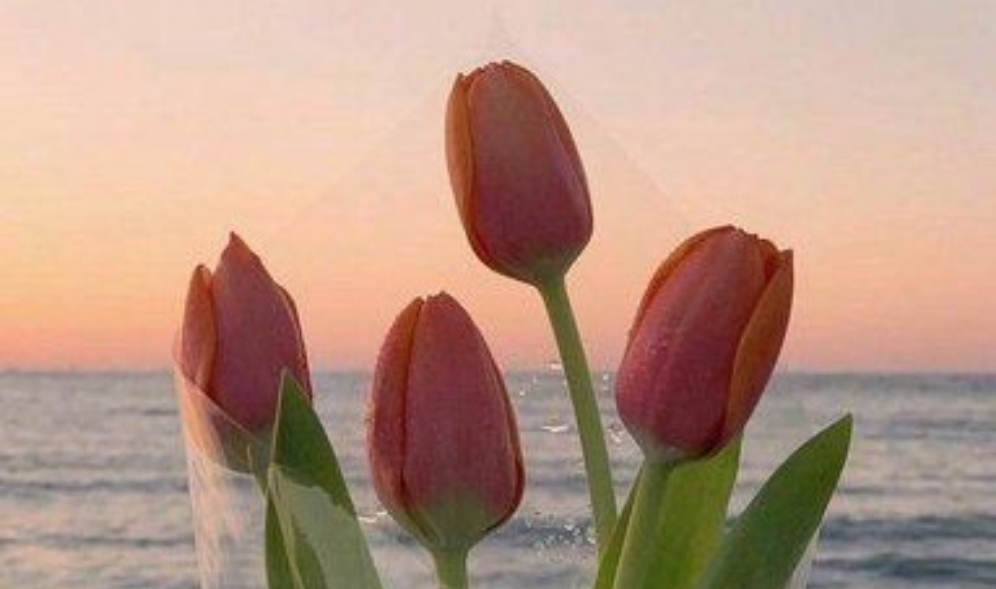 Torii's chatter + half-imitation ㅇ3ㅇ thumbnail