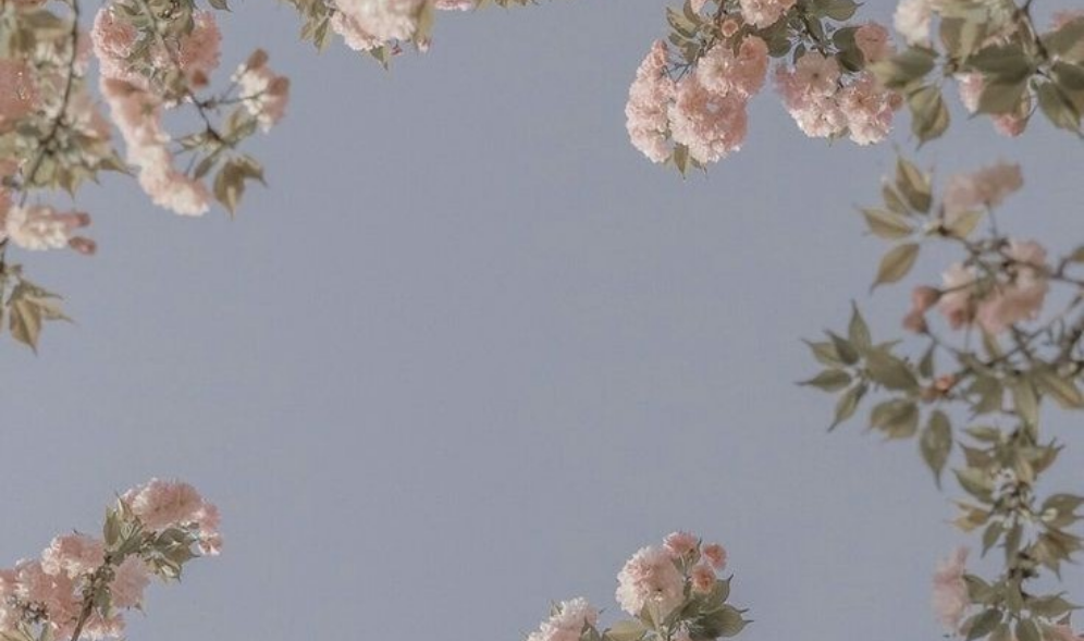 A collection of Dori's quotes💕 thumbnail