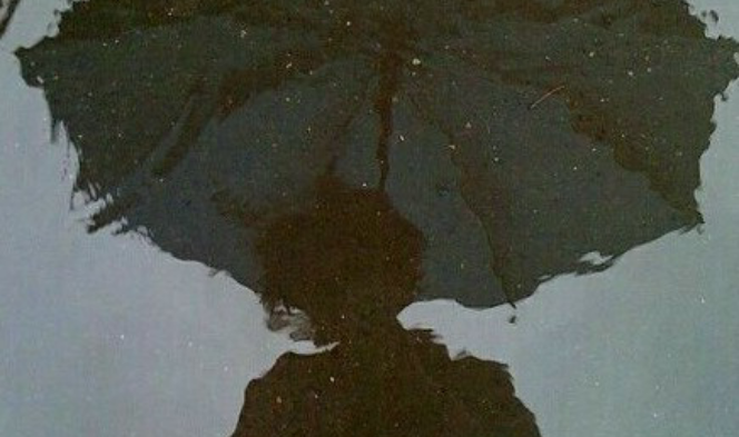 我和你一起度过的所有日子 thumbnail