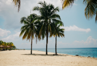 이 도움말을 어떻게 사용해야 할지 모르겠습니다. thumbnail