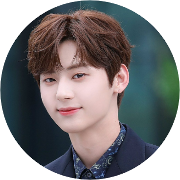 황민현 (기사) image