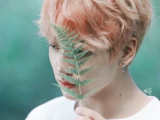 ヨジュ？犬を与えてください。 thumbnail