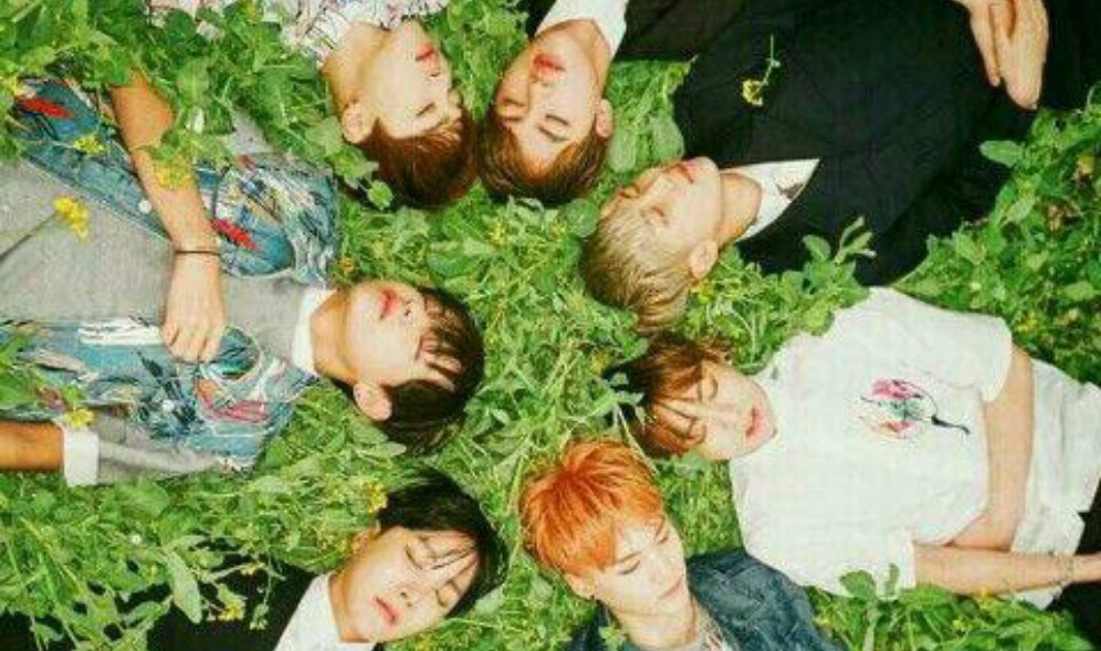 Negozio di magia - Caos in armonia - thumbnail