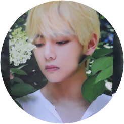 김태형 image