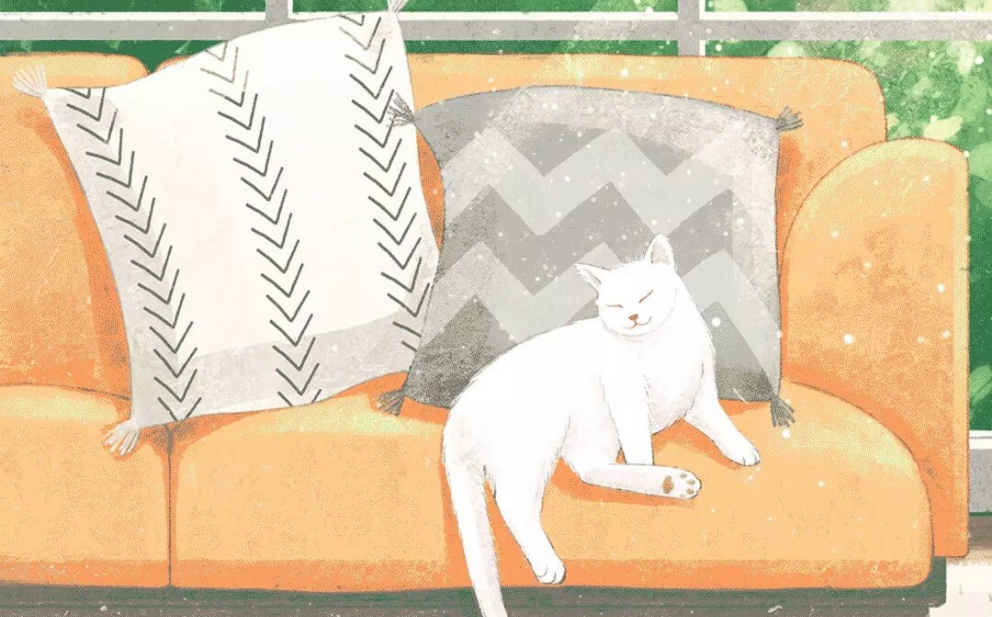 베이비 부 thumbnail