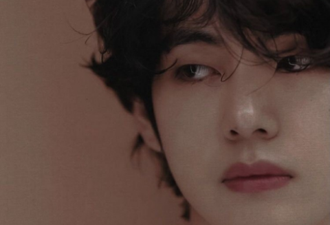 世界上最美丽的花 thumbnail